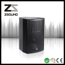 P15 Club Sound System Speaker with Proaudio
